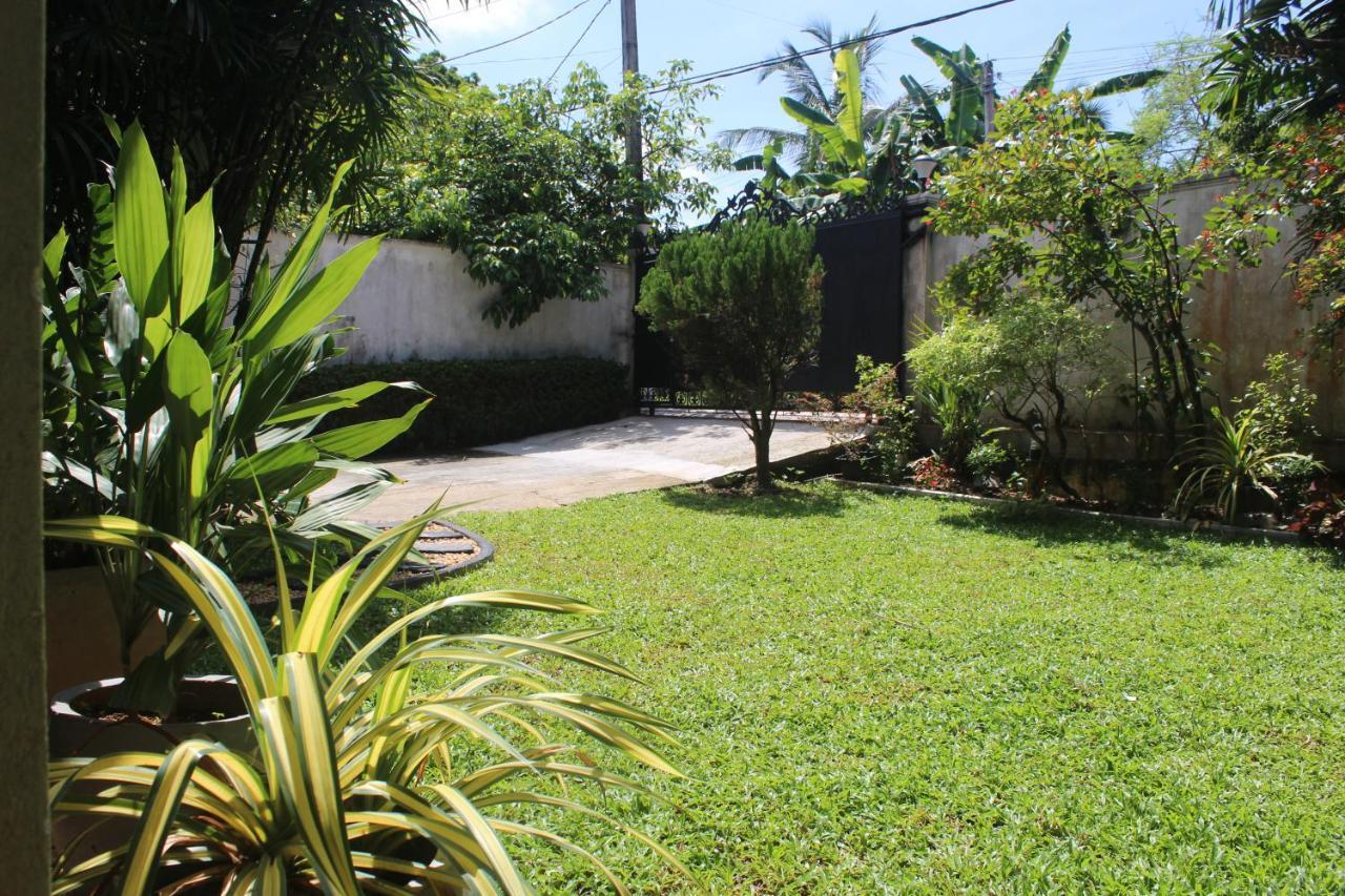 Bird'S Nest By Natures Bliss Ragama Exterior photo