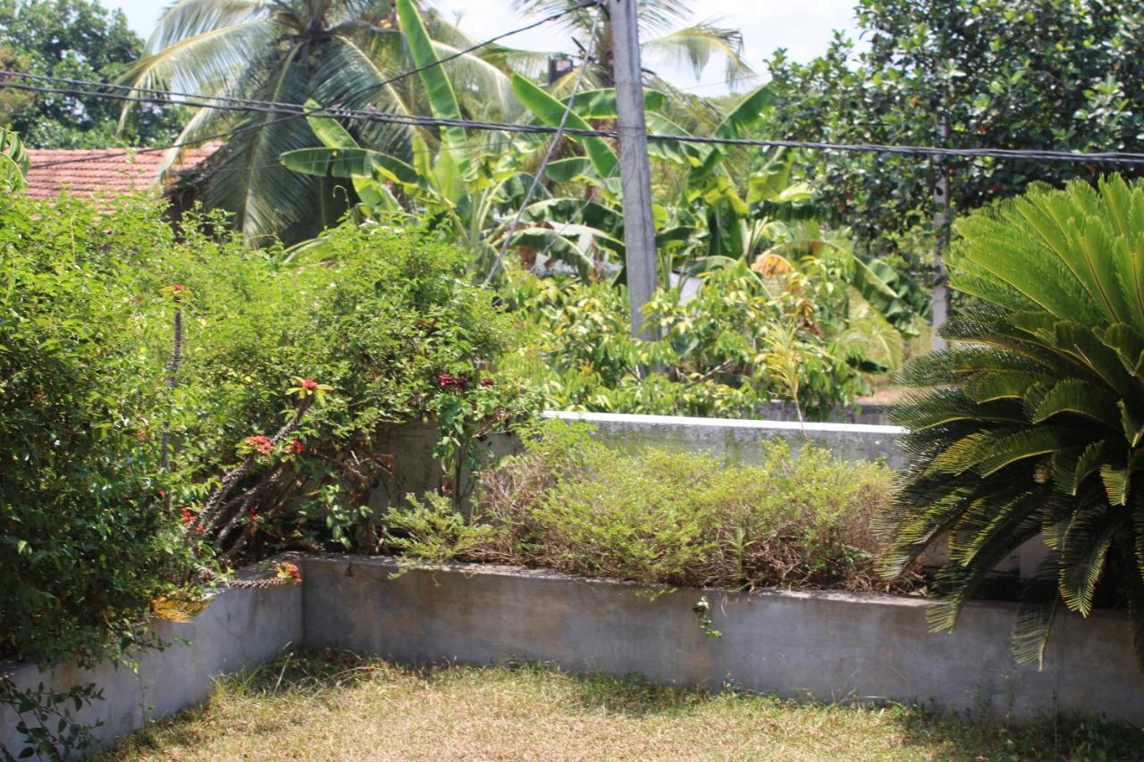 Bird'S Nest By Natures Bliss Ragama Exterior photo